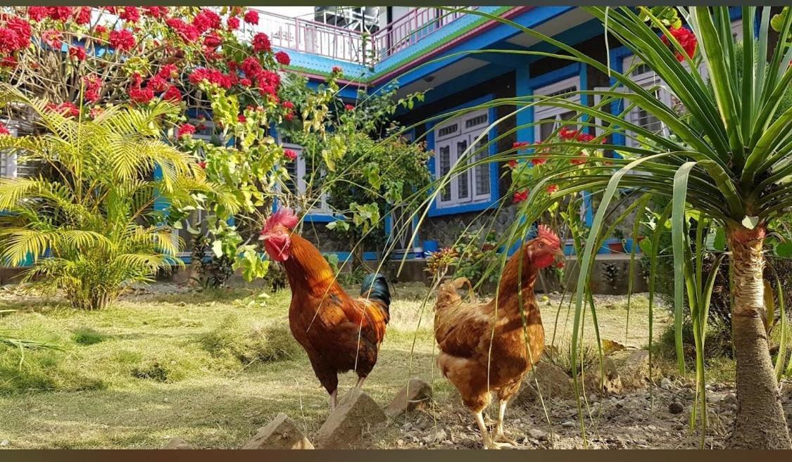 Robins Nest Hotel & Restaurant Deorali Ngoại thất bức ảnh